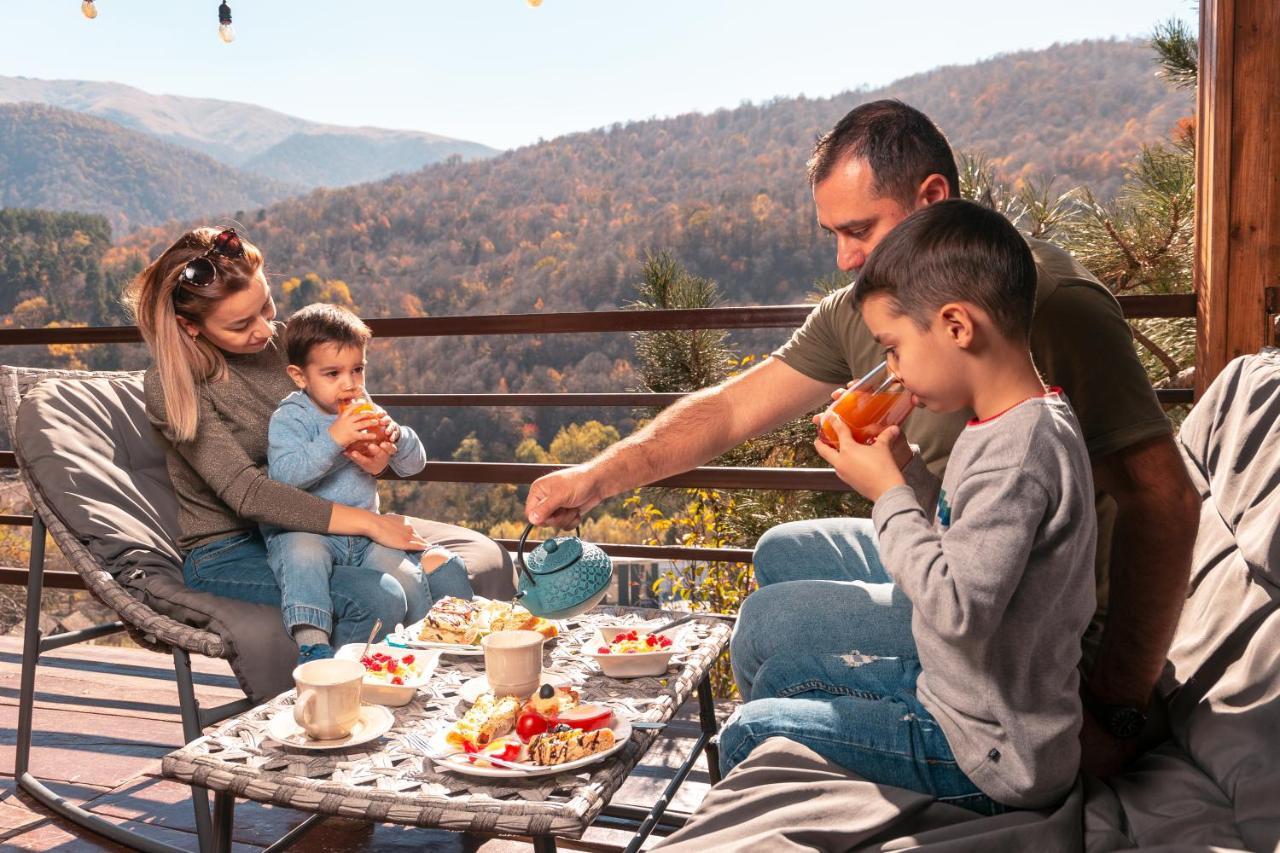 Hotel Popock Dilijan 1 Zewnętrze zdjęcie